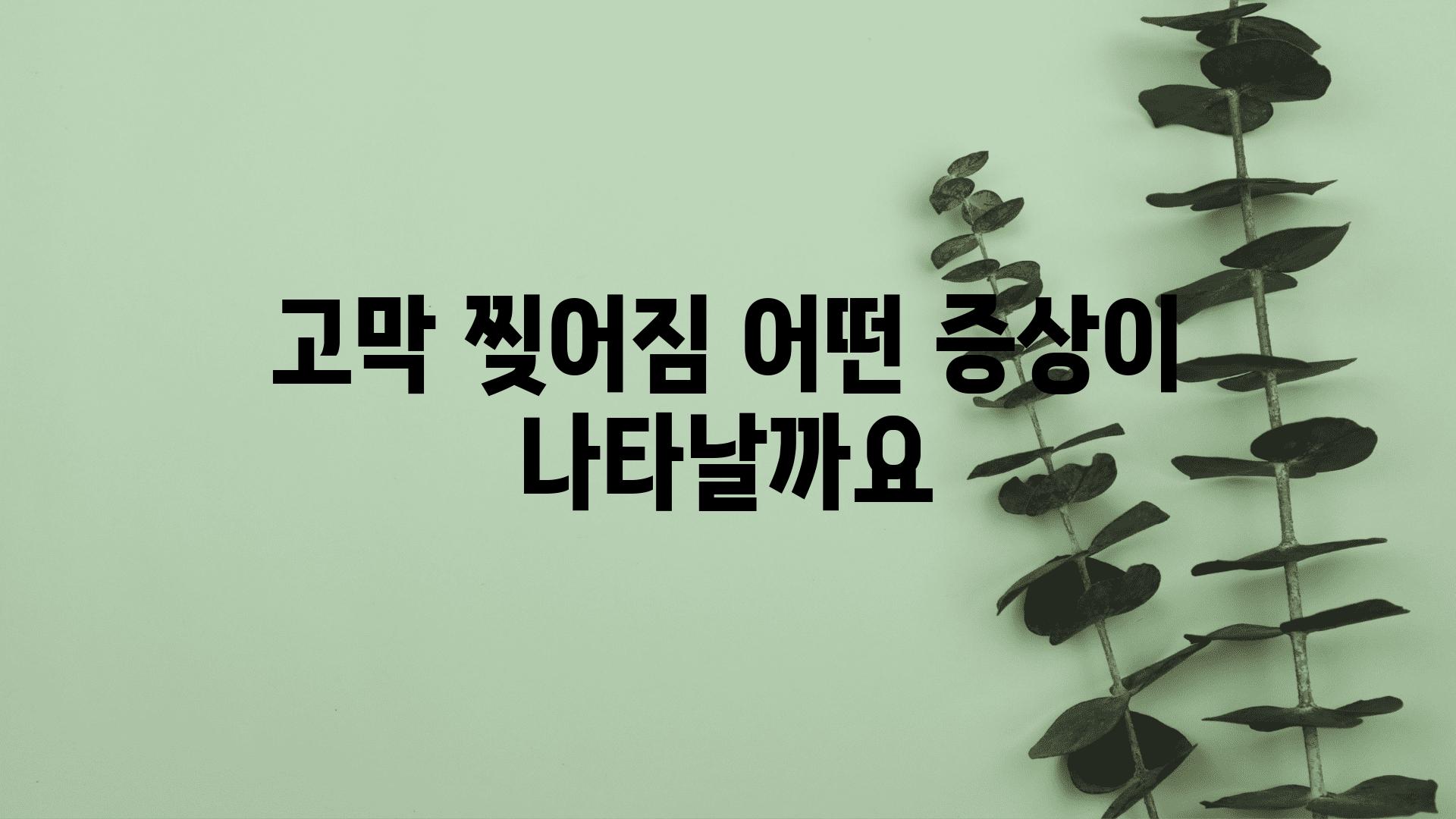 고막 찢어짐 어떤 증상이 나타날까요