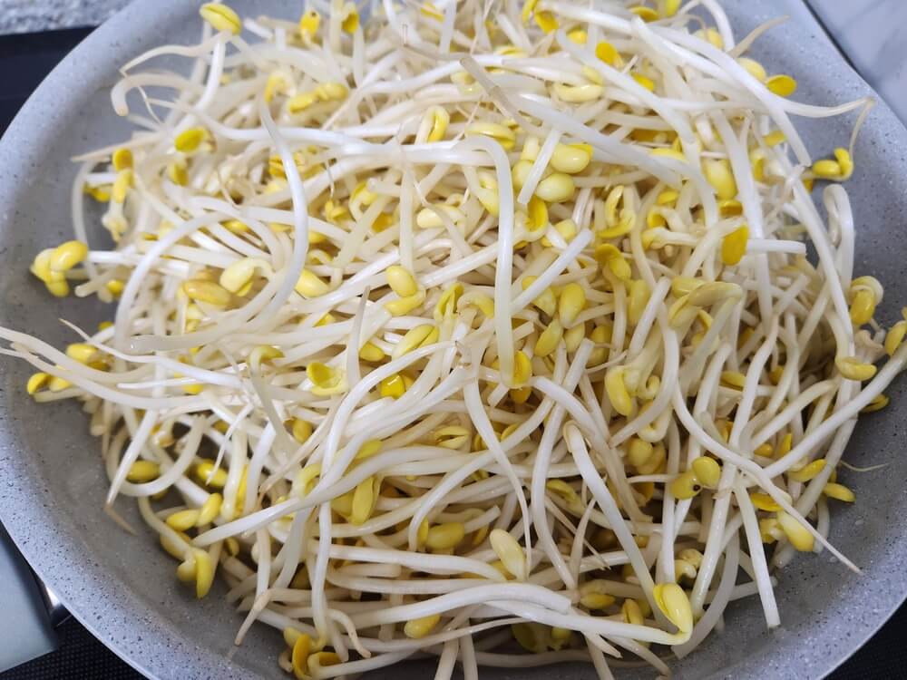 물끓이기
