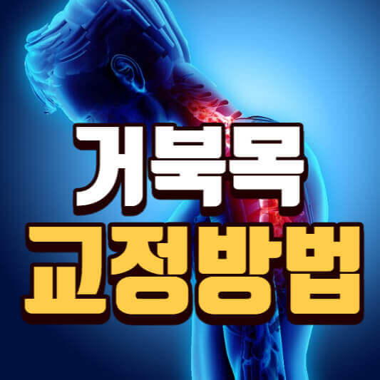  거북목교정, 베개, 치료 및 운동 깔끔정리