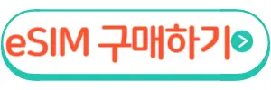 이심