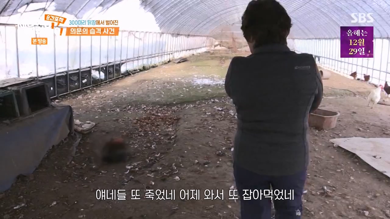 순간포착 세상에 이런일이.E1257.231224p-NEXT.mp4_20231224_180234.399.jpg