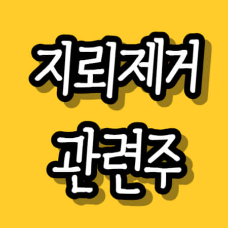 지뢰관련주