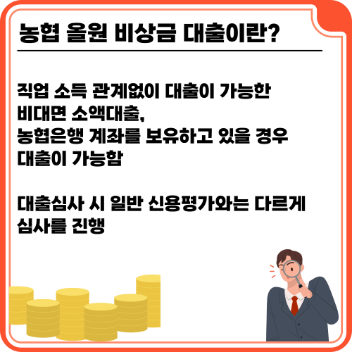 농협 올원 비상금 대출이란