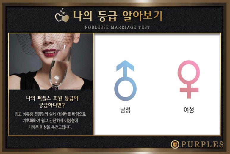 퍼플스 방향을 다시 잡아보세요 5