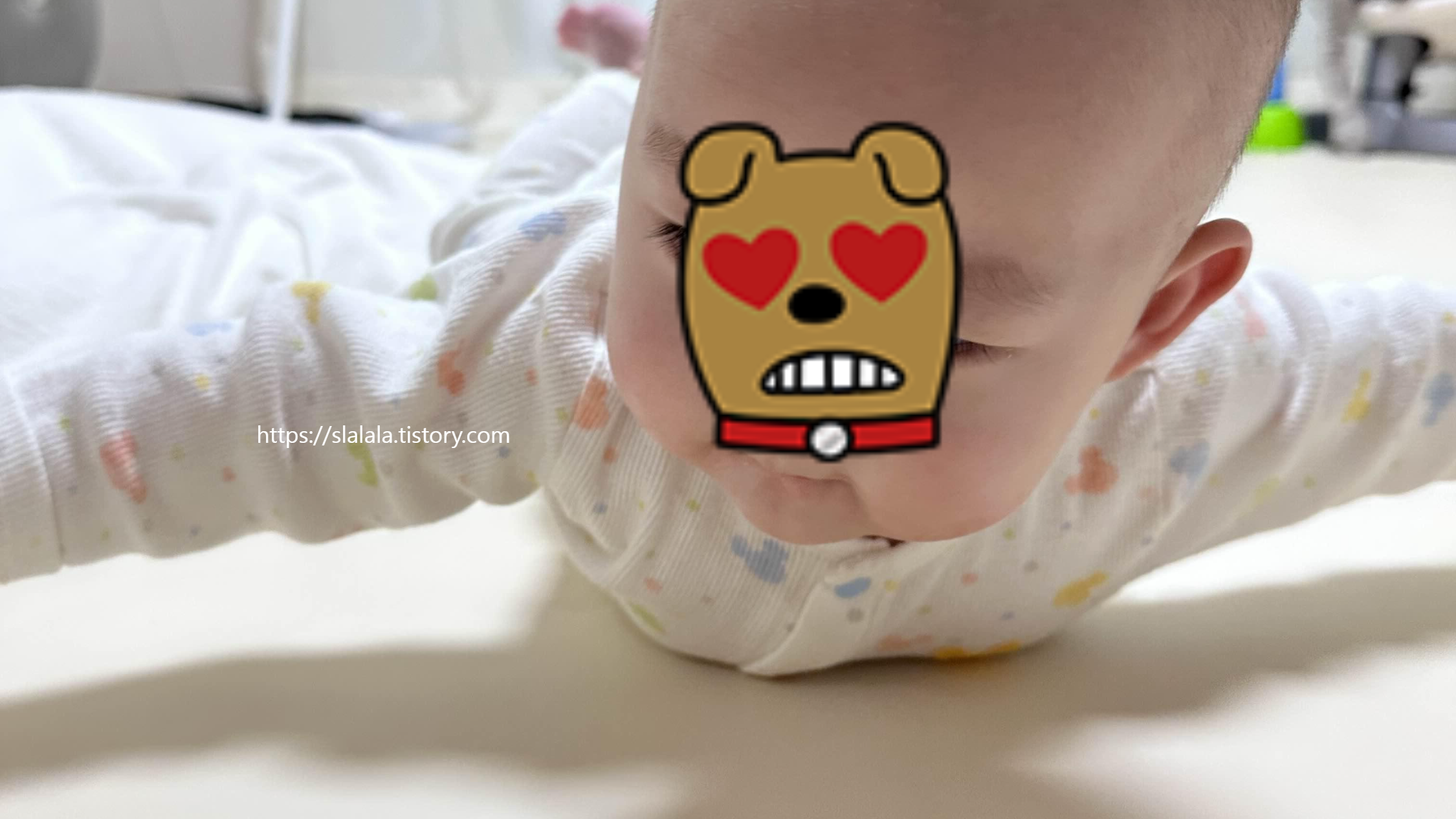 슈퍼맨자세하는 해랑이