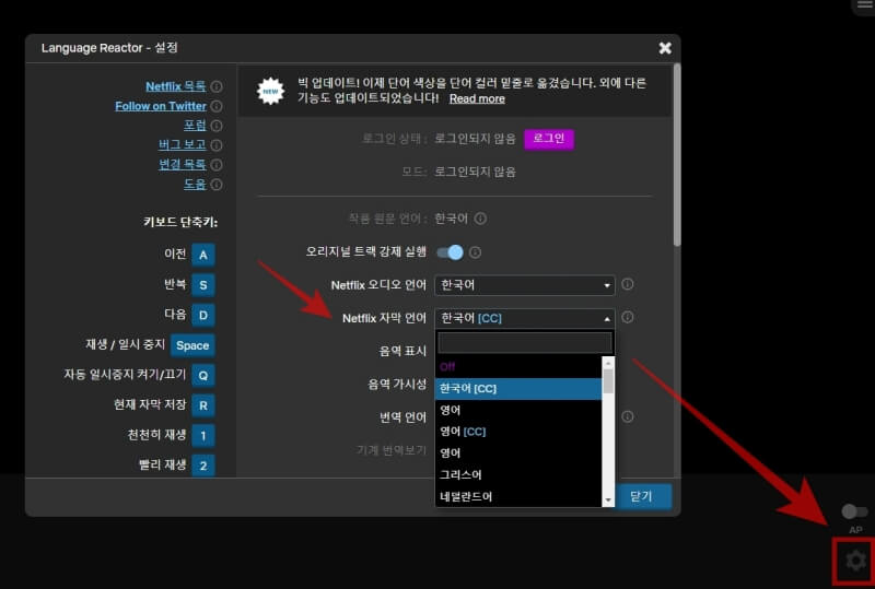 넷플릭스 이중자막