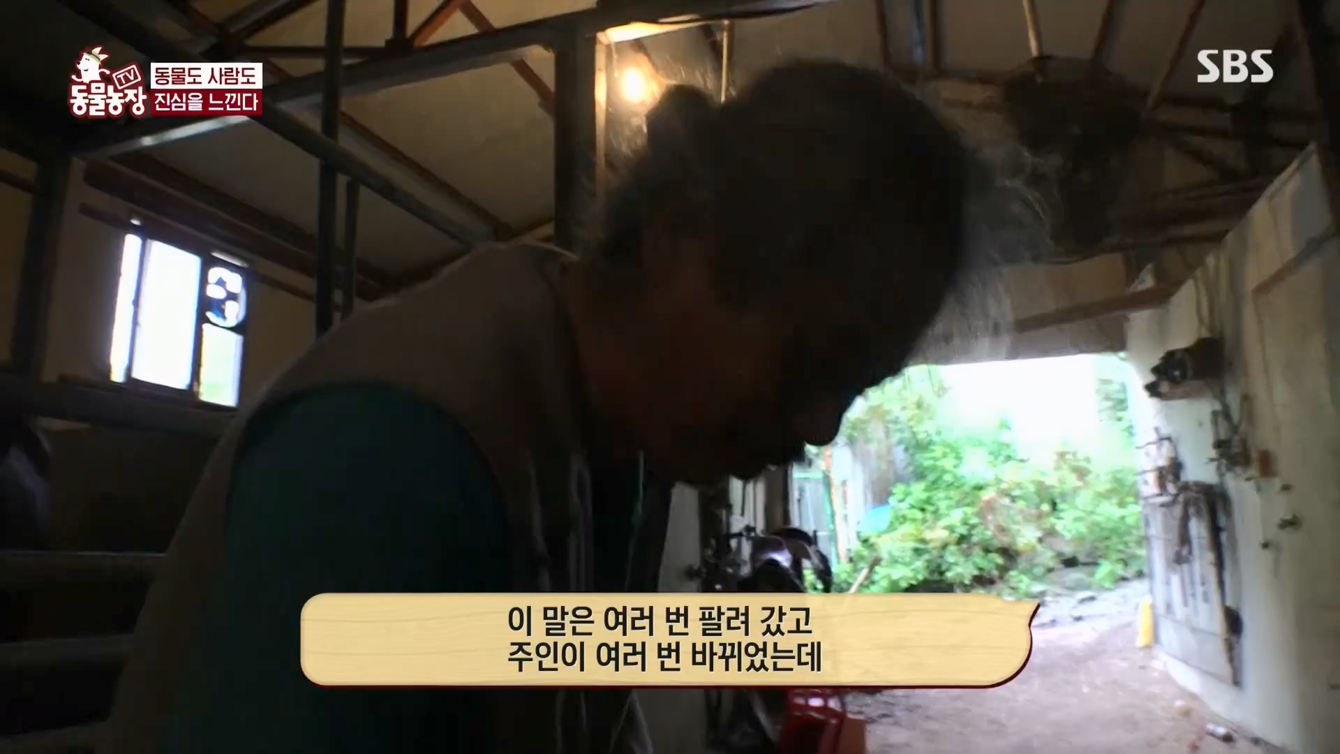 TV 동물농장.E1139.230924p.H264-F1RST.mp4_20230924_172348.262.jpg