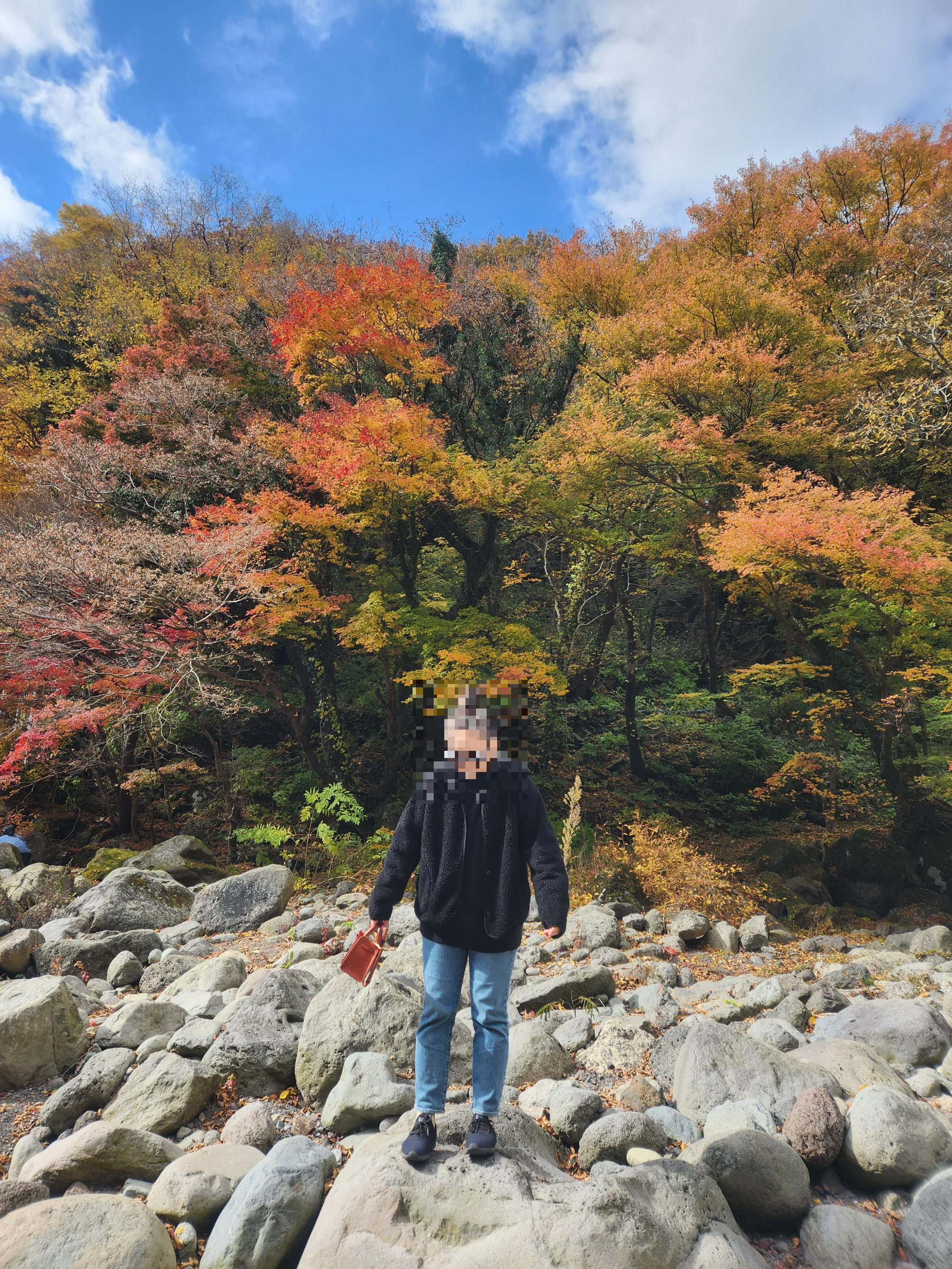 한라산 둘레길 1구간 - 천아숲길