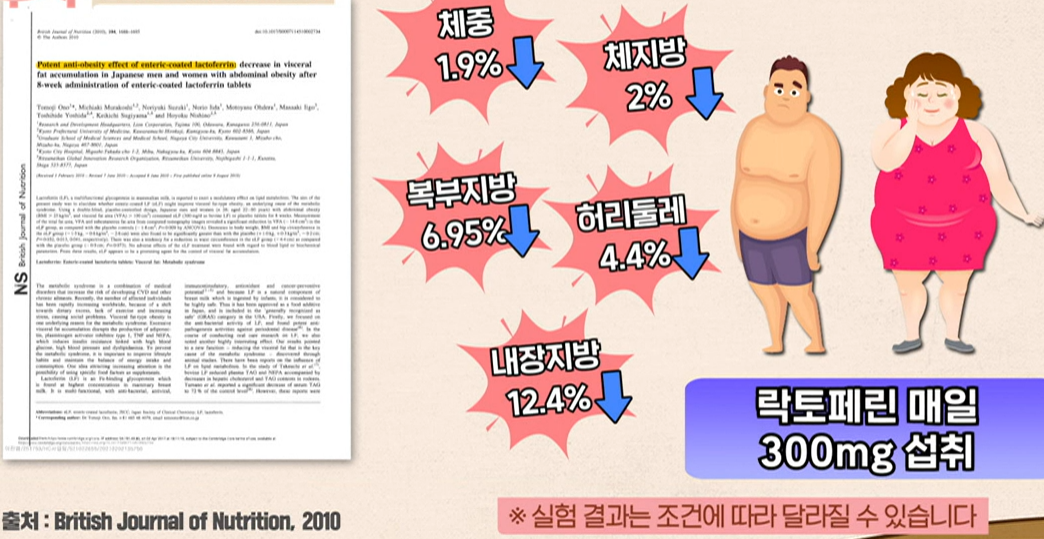 락토페린 효능