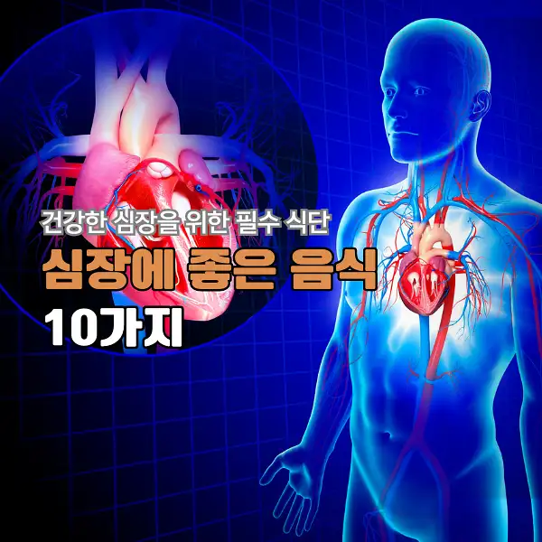 심장에 좋은 음식