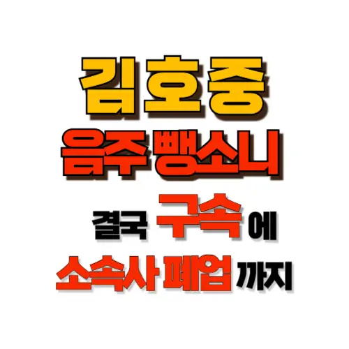 김호중 음주 뺑소니 썸네일