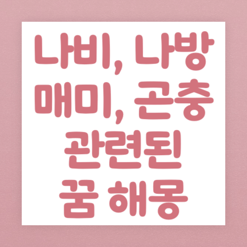 나비, 나방, 매미, 곤충 관련된 꿈 해몽