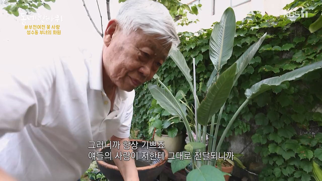 동네 한 바퀴.E277.240609p-NEXT.mp4_20240609_162920.742.jpg