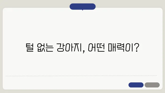 털 안 빠지는 강아지: 말티즈와 말티푸의 비교