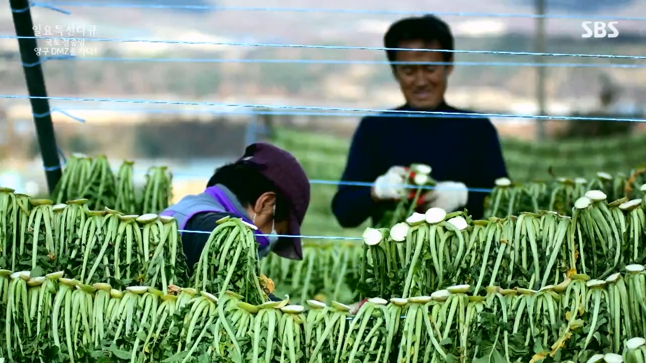 일요특선 다큐멘터리.E344.231204p-NEXT.mp4_20231206_194842.293.jpg