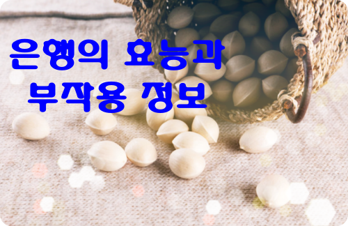 은행-효능-부작용