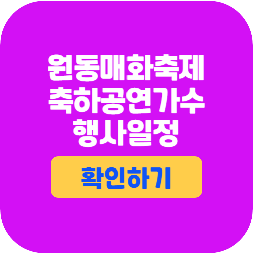 원동매화축제