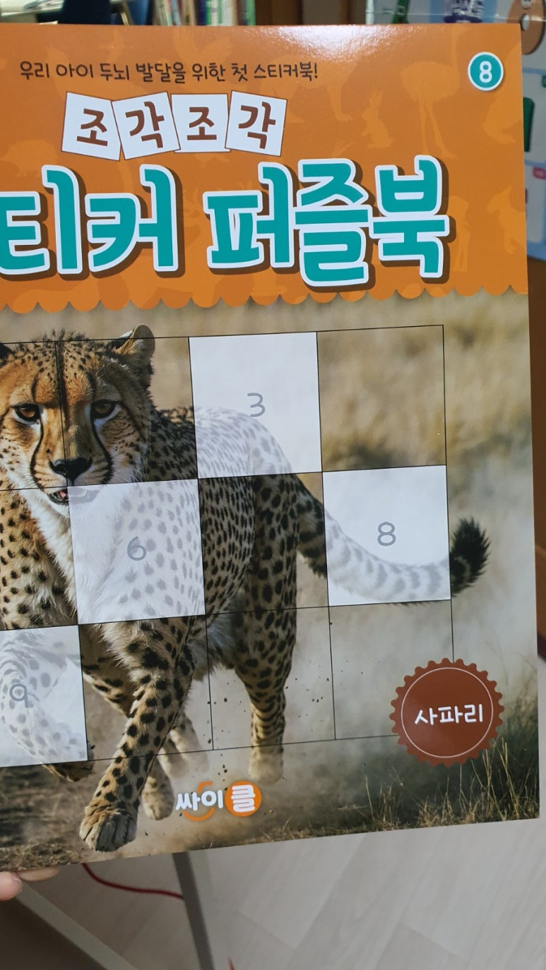 사파리 이미지