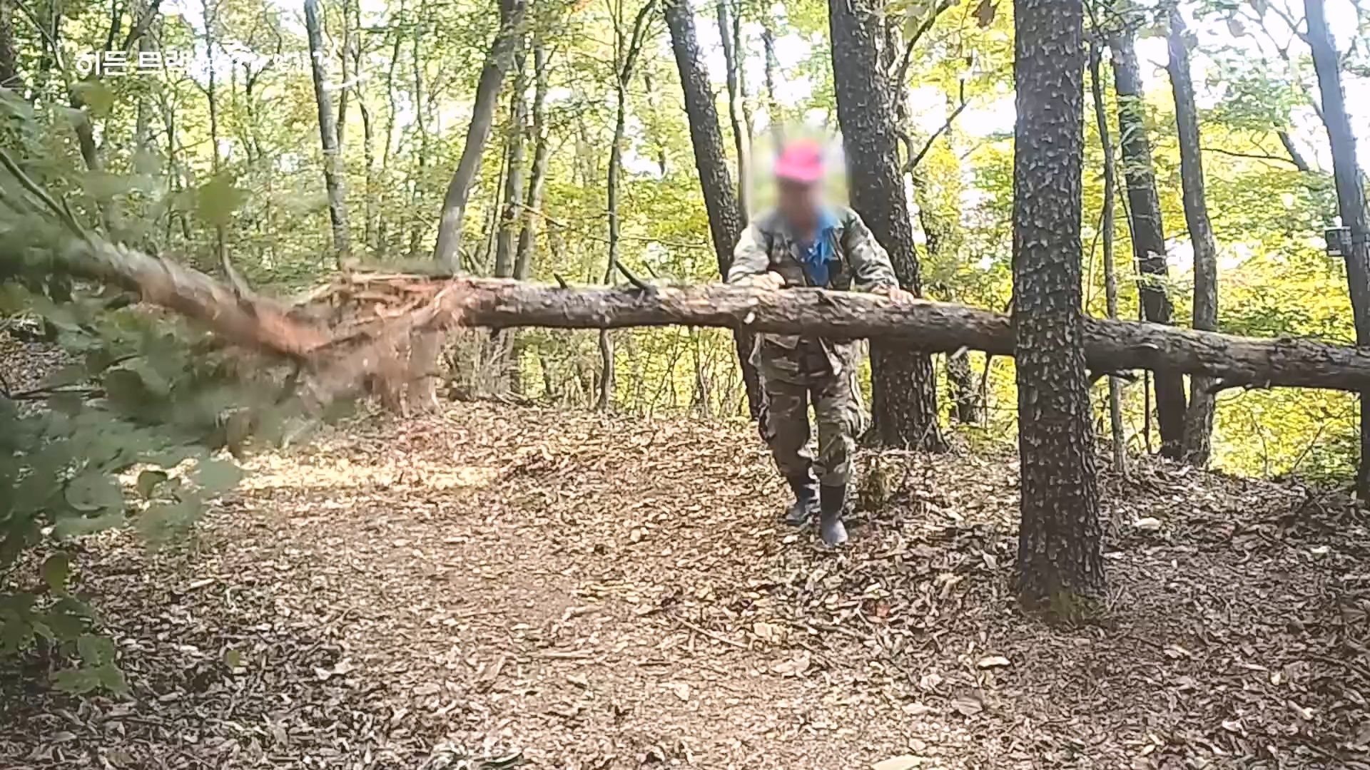 다큐 인사이트.E176.231214p.H264-F1RST.mp4_20231215_205449.820.jpg