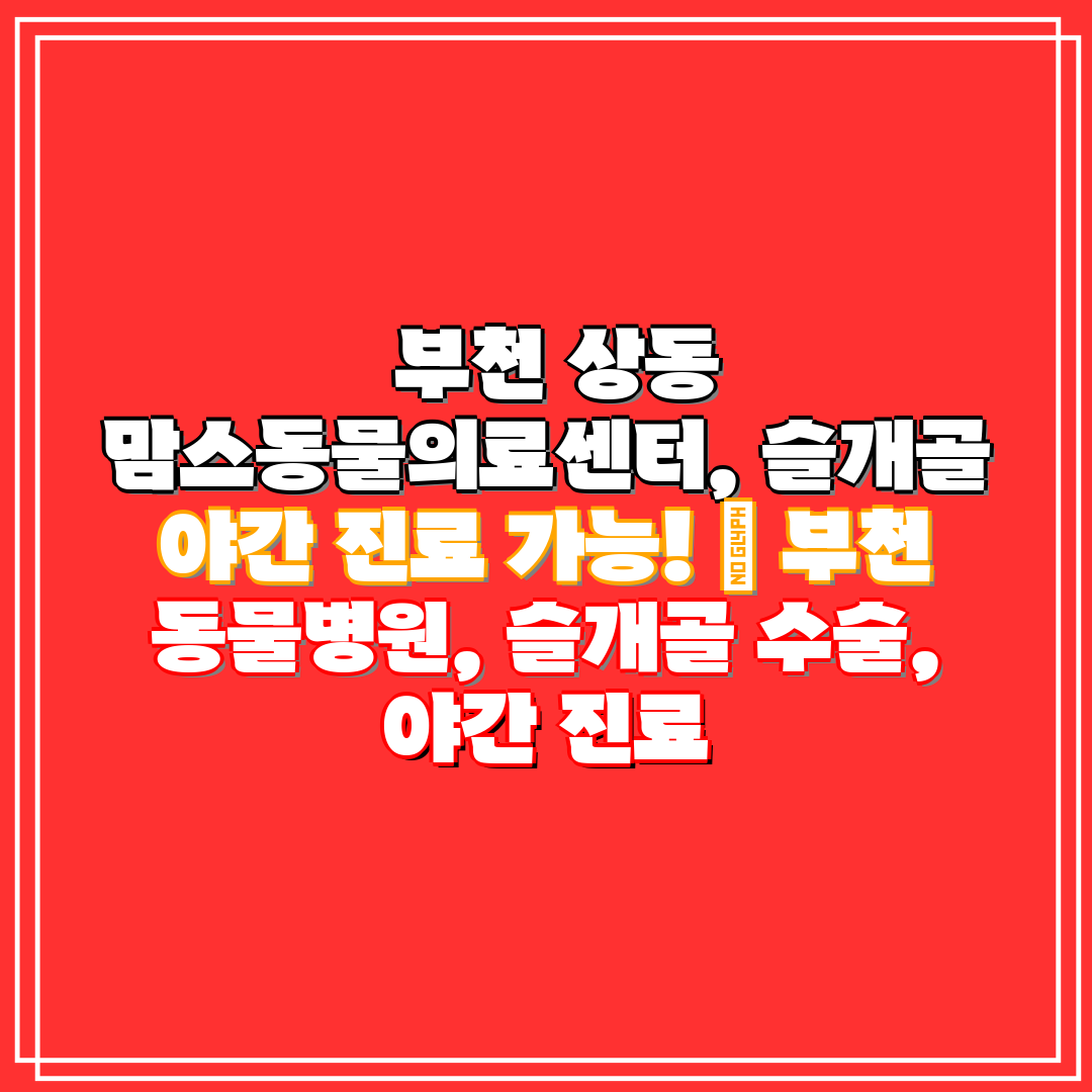  부천 상동 맘스동물의료센터, 슬개골 야간 진료 가능!