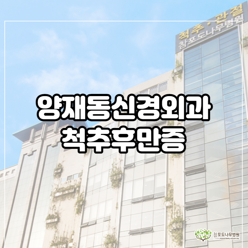  양재동신경외과 척추후만증