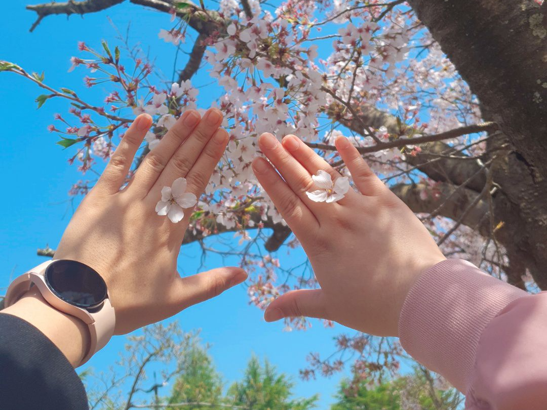  경주 1박 2일 뚜벅이 봄여행 코스, 총경비, 총평