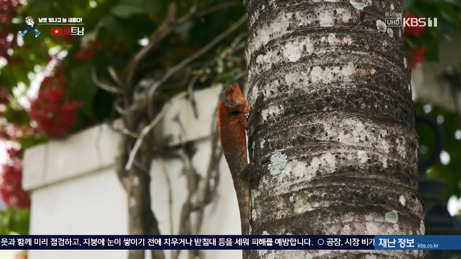 걸어서 세계속으로.E826.240120p.H264-F1RST.mp4_20240716_202844.527.jpg