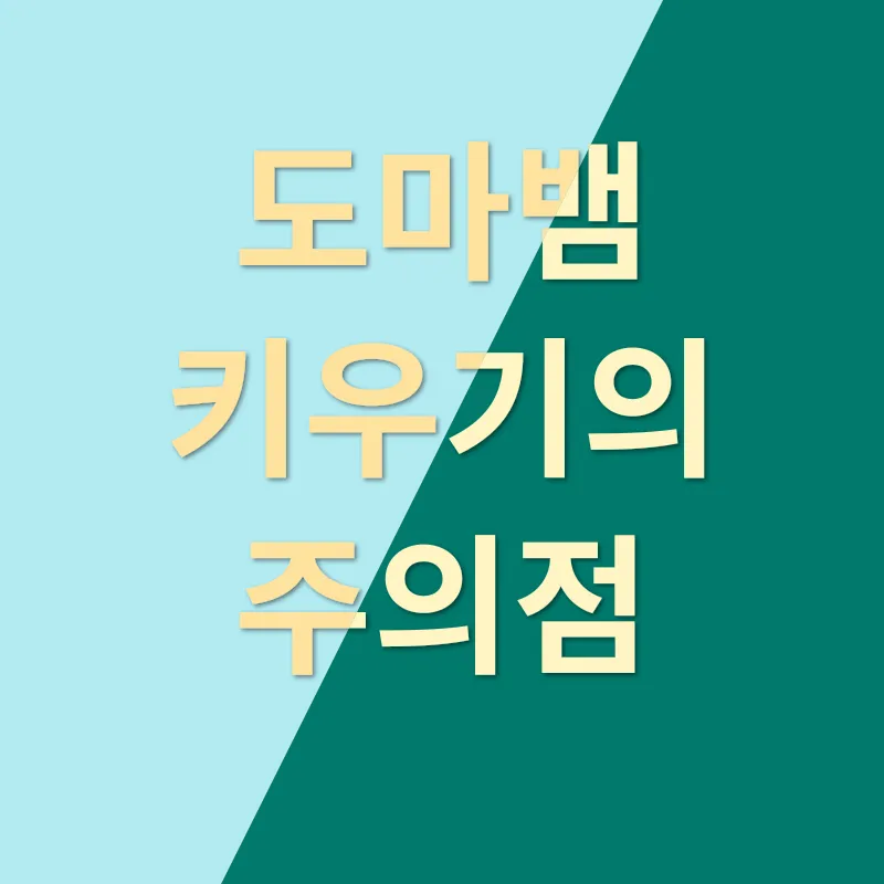 도마뱀 키우기_2