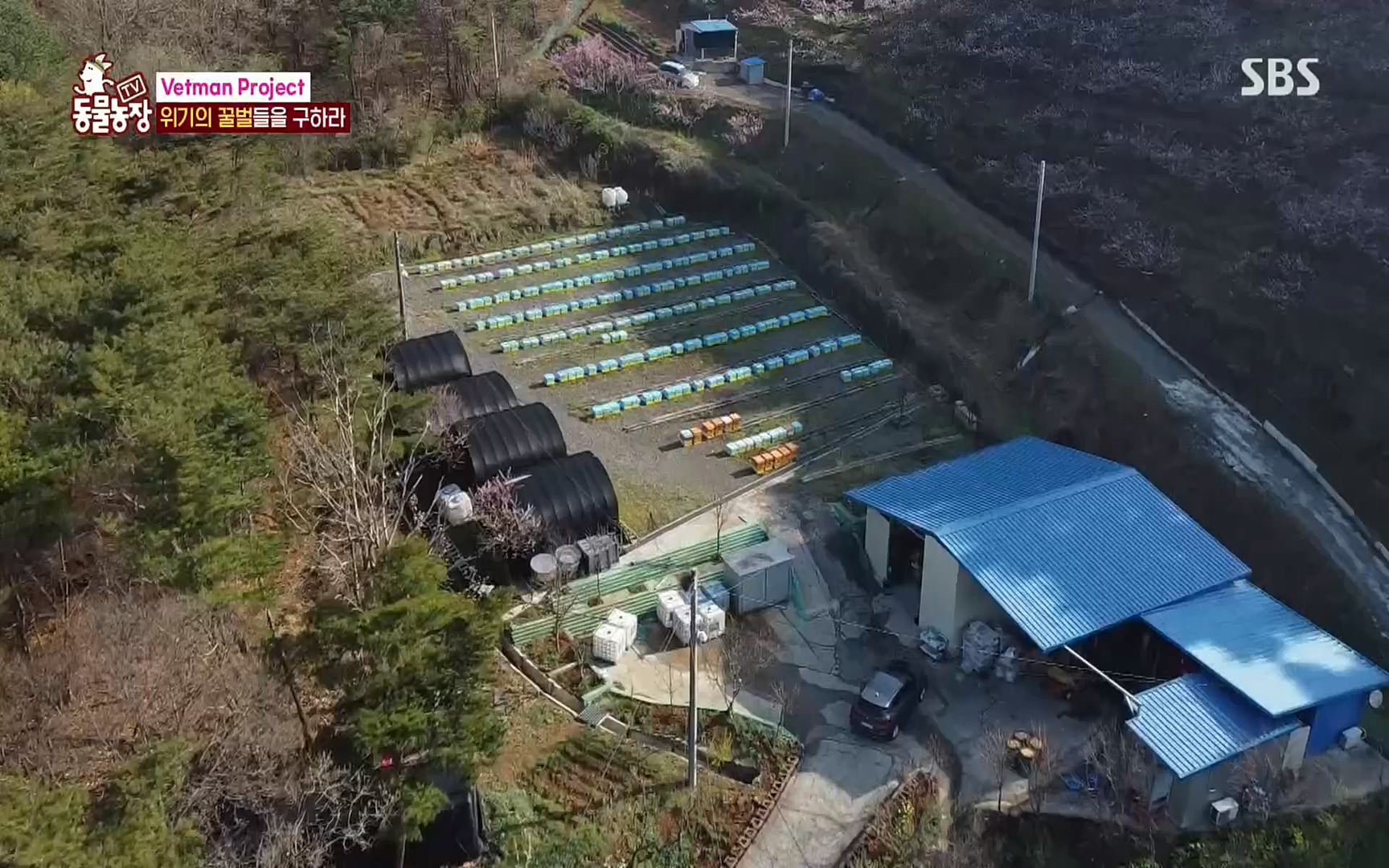 TV 동물농장.E1072.220605p.H264-F1RST.mp4_20220605_181449.853.jpg
