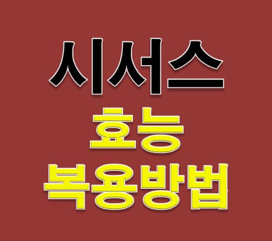  시서스 효능 & 효과 있는 복용방법