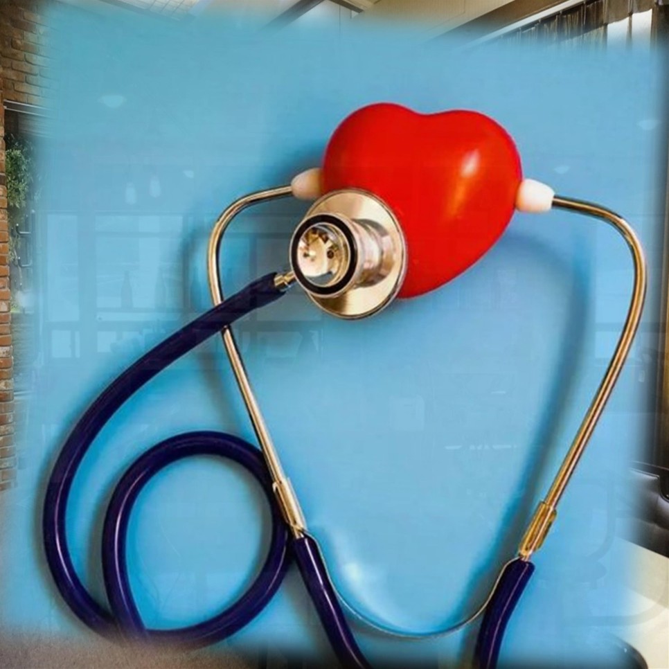 삼백초추출물관련 1