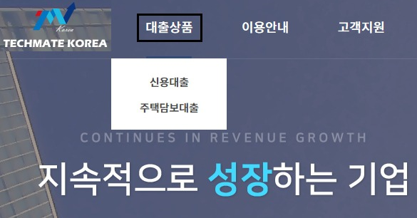  테크메이트코리아, 대부 신용이 안좋으면 어떻게 해야 되나요?
