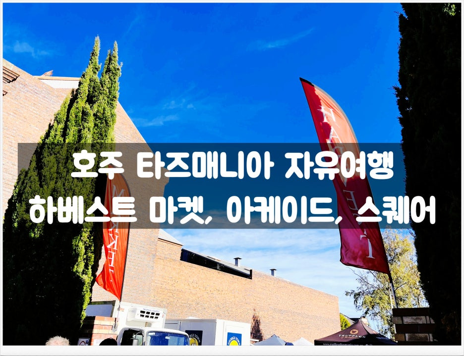여행마켓 이미지