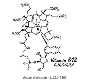 b12