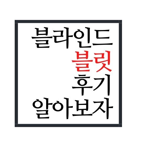  블릿 후기 알아보자(가장 정확함)