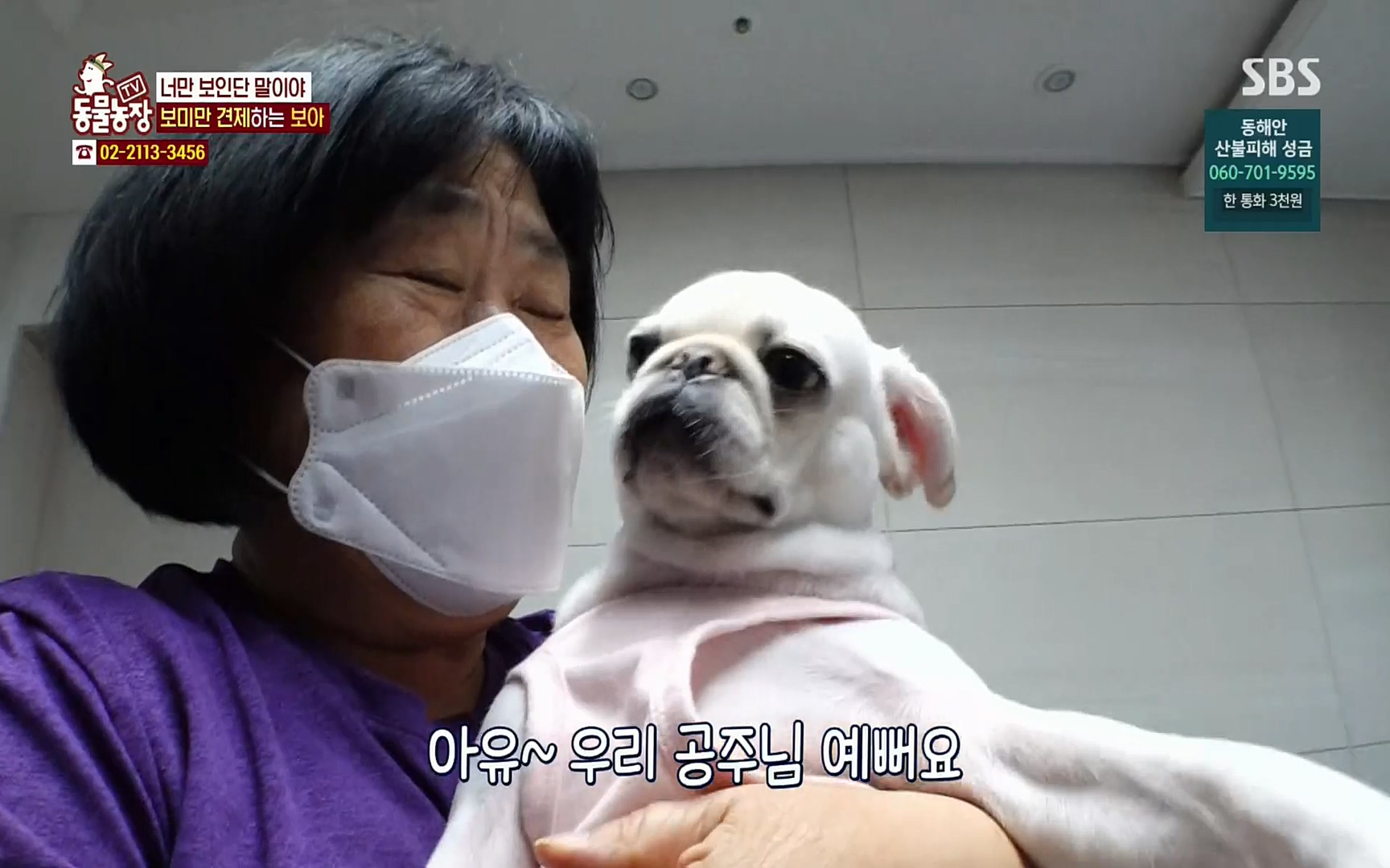 TV 동물농장.E1061.220320p.H264-F1RST.mp4_20220320_183551.143.jpg