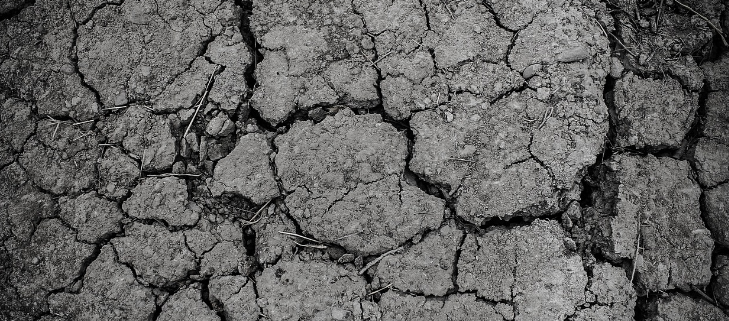 가뭄 관련 사진