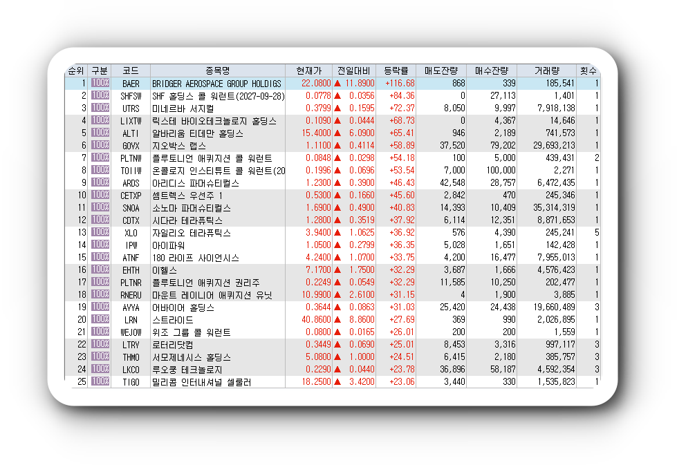  1월25일 미국주식 상승률 상위 종목 TOP 300