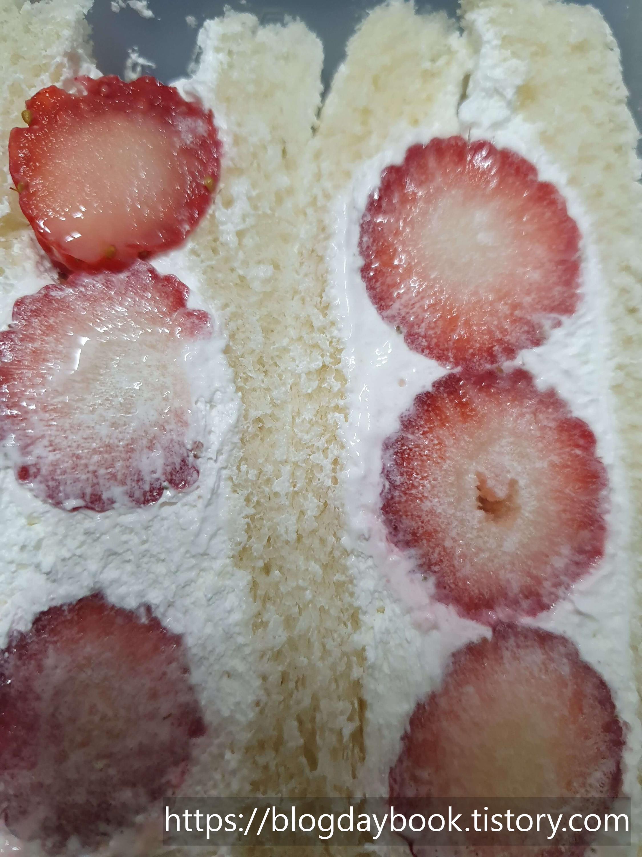 제주우유 딸기샌드