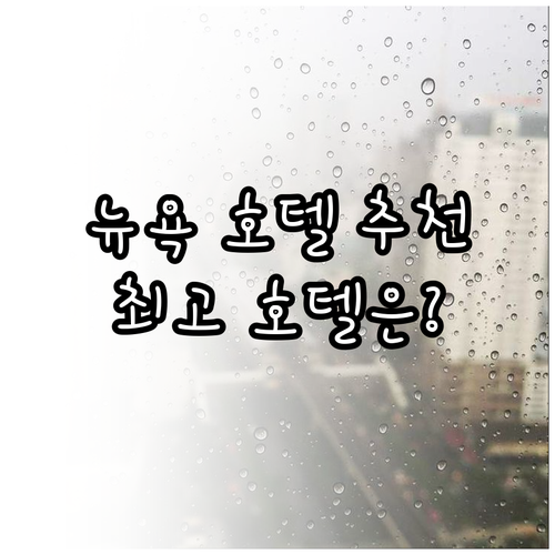 뉴욕 호텔 6곳 장단점 비교 분석 어
