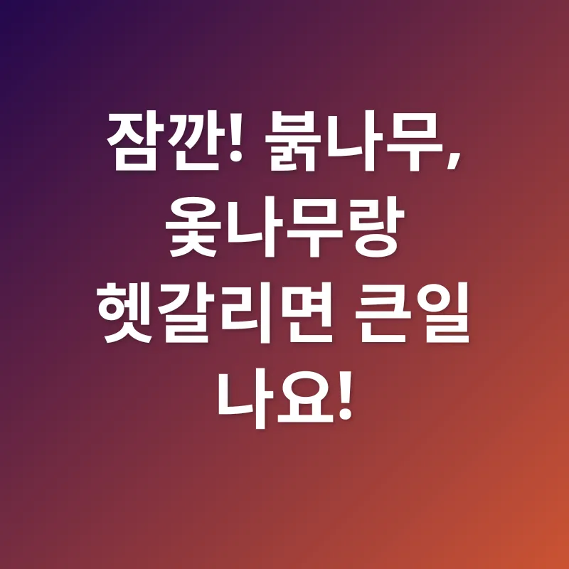 붉나무_3