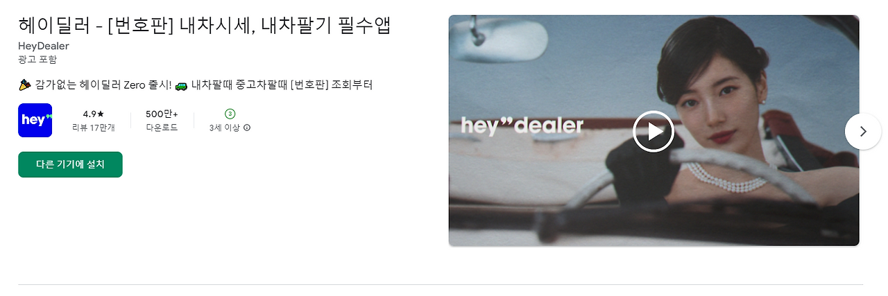 헤이딜러