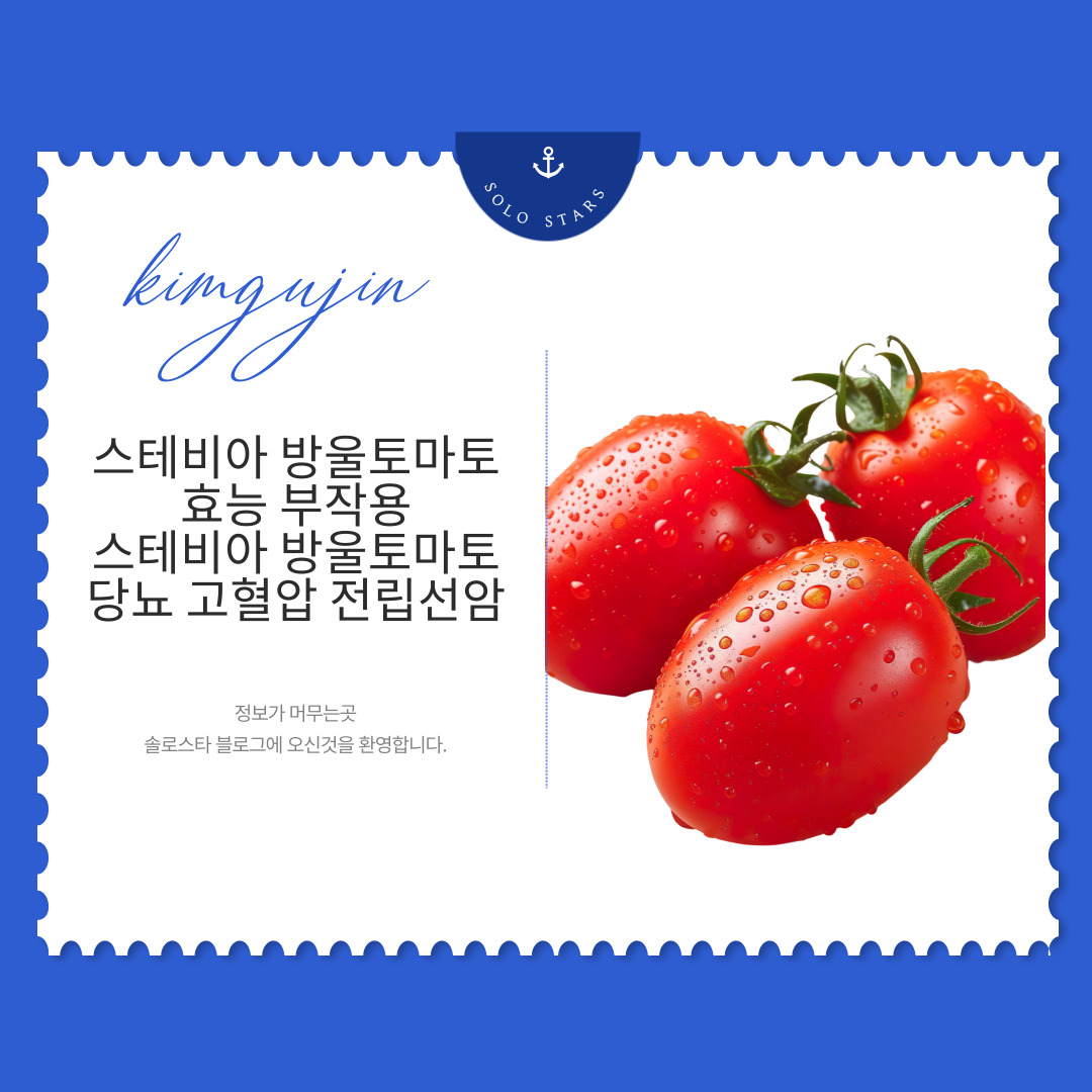 스테비아 방울토마토 사진