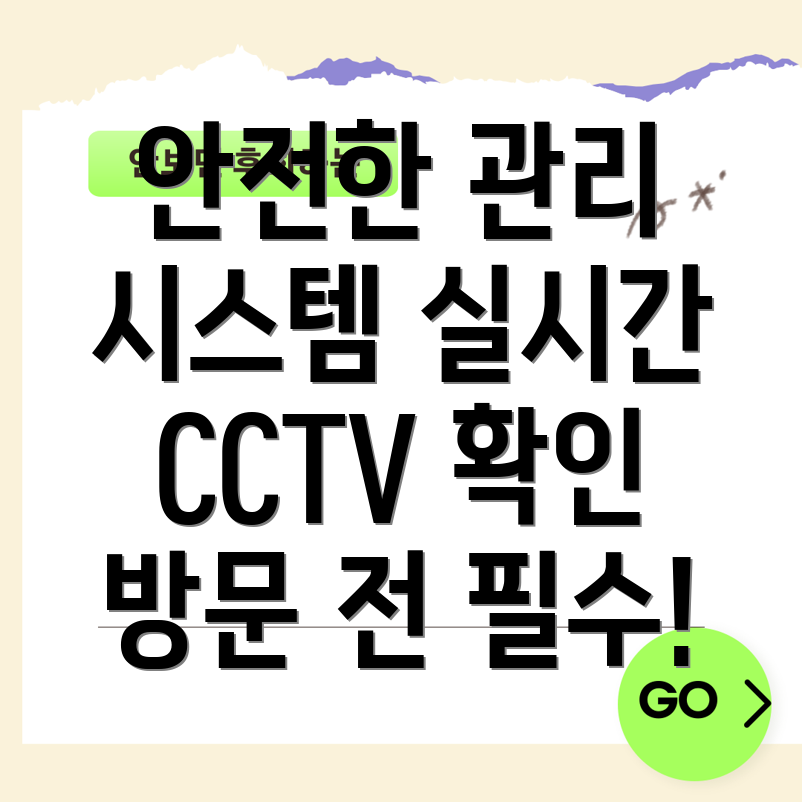 실시간 CCTV