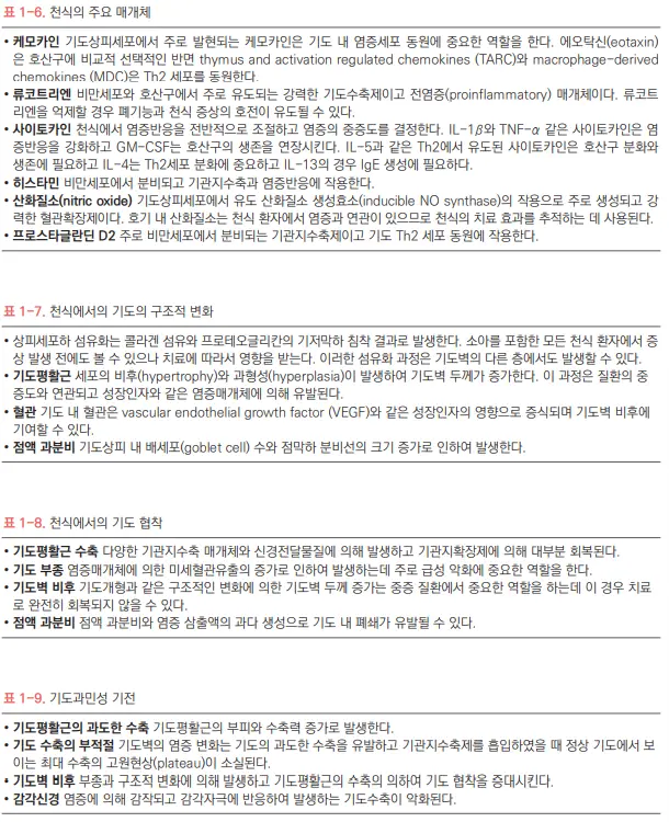 천식으로 인한 기도협착과 구조변화