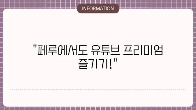 유튜브 프리미엄 우회 페루 대쑕 c29법
