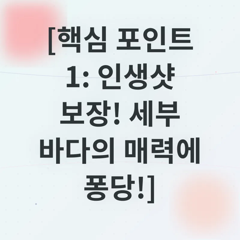 세부 호핑투어_1