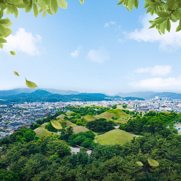 경주대릉원