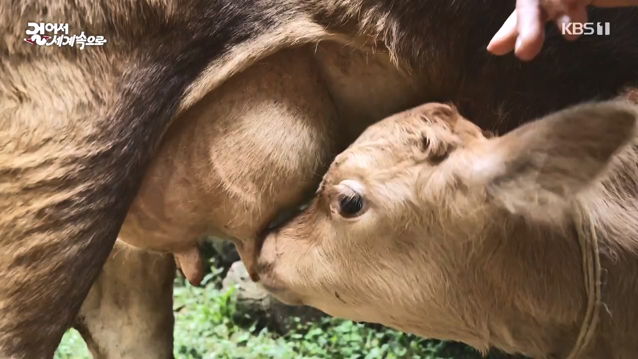 걸어서 세계속으로.E812.231008p-NEXT.mp4_20231010_212308.443.jpg