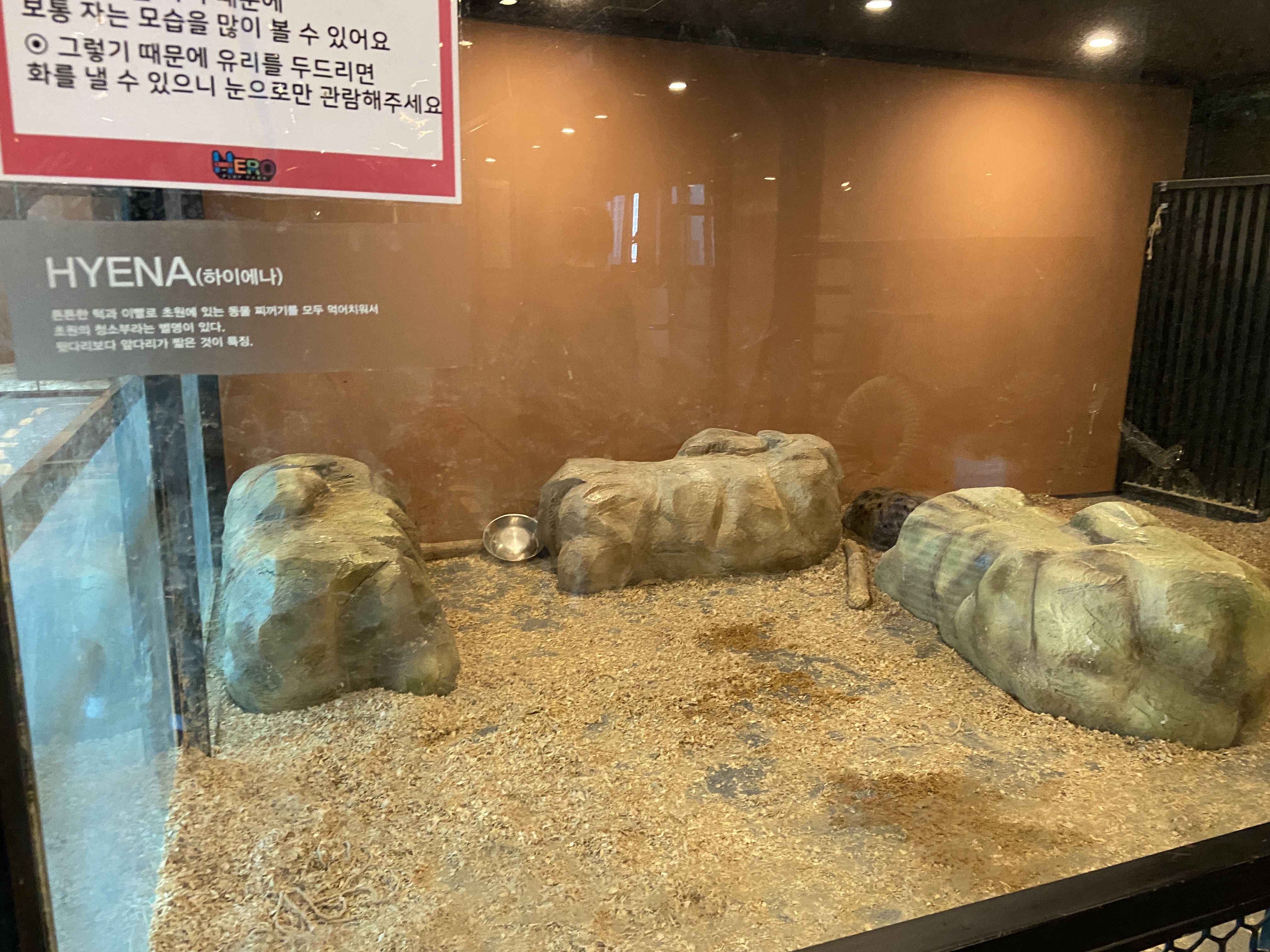 청주 키즈 카페